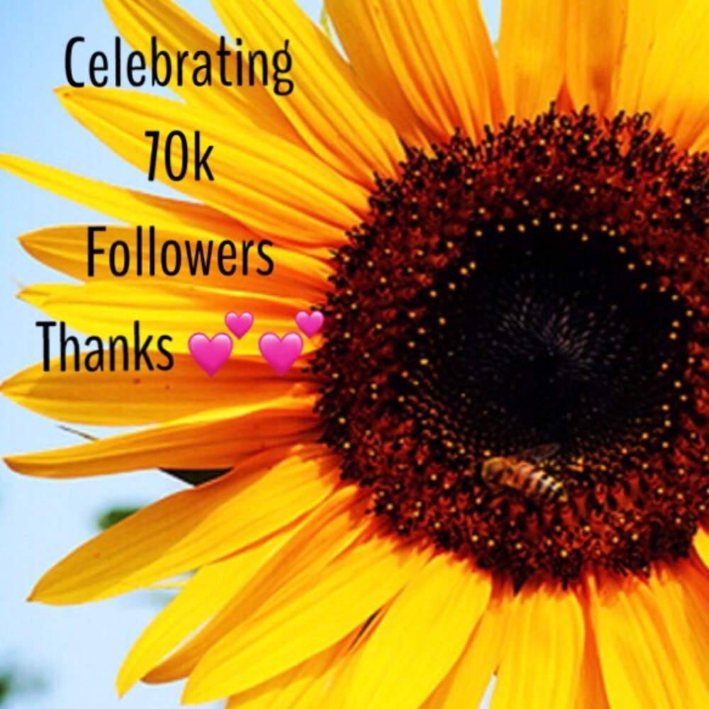 CELEBRATING 70K FOLLOWERS. THANKS!!!!
